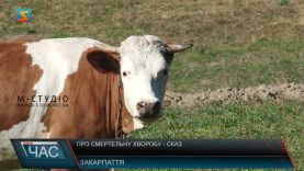 Сказ худоби. Поширення та наслідки