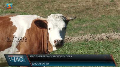 Сказ худоби. Поширення та наслідки