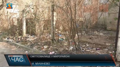 Стихійне сміттєзвалище. Гори непотребу