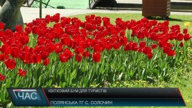 Квітковий бум для туристів. Відпочинок на Закарпатті