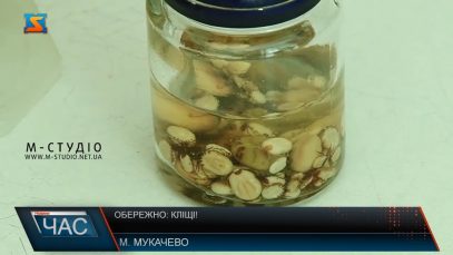 Обережно: кліщі! Небезпека навесні