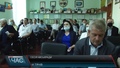 Сесія міськради. Проблеми лісу