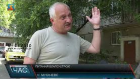 Благоустрій міста.Трава по коліна та сміття