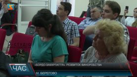 «Бордо-Закарпаття». Розвиток виноробства