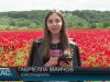 Маки зацвіли! Нова фотолокація в Мукачеві
