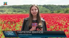 Маки зацвіли! Нова фотолокація в Мукачеві