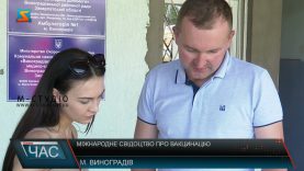 Міжнародне свідоцтво про вакцинацію. Європейські стандарти