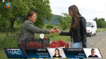 Полуничний сезон. Літня ягода