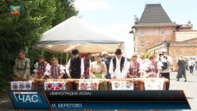 «Виноградна лоза». Унікальний арт-проєкт