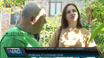 Вирощування ківі. Екзотика на Закарпатті