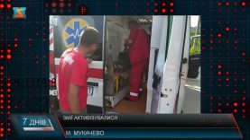 «Змії активізувалися». Отруйні плазуни у краї