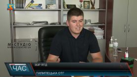 Сезон ягід. Збір чорниці.