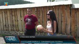 Страусина ферма. Розвивають туризм