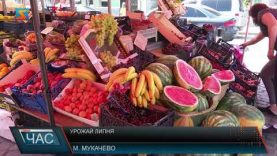 Урожай липня