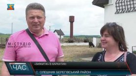 «Вижити» в карантин. Підприємницька діяльність