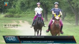 Заняття для оздоровлення. Лікування конями