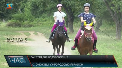 Заняття для оздоровлення. Лікування конями