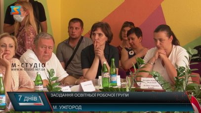 Засідання освітньої робочої групи. Українсько-угорське питання
