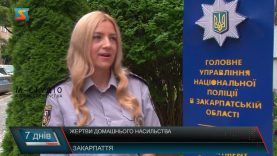 Жертви домашнього  насильства. Статистика зросла