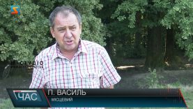 Боротьба за пасовище. Земельні сутички