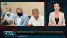 Вакцинація на базі шкіл. Імунізація населення