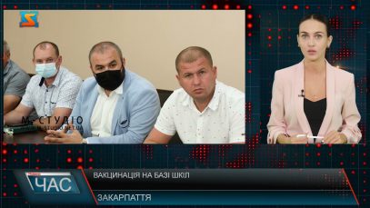 Вакцинація на базі шкіл. Імунізація населення