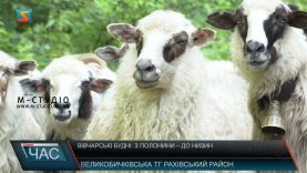 Вівчарство – традиційний промисел горян