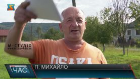 Земельні сутички. Судова тяганина