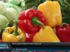 День здорового харчування. На скільки правильно ми їмо?