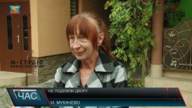 Не поділили двір. Сусідські сутички