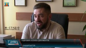 Підробка «Covid» документів. Що чекає на порушників?