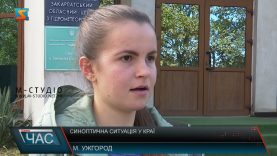 Погода у краї. Чого чекати?