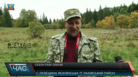 Сезон реву оленів. Початок осені