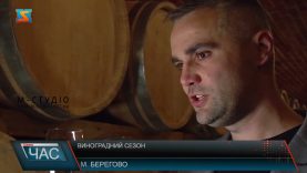 Збір винограду. Сезон стартував.