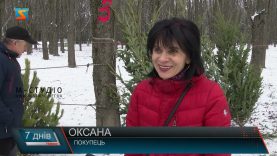 Ялинка: штучна чи жива