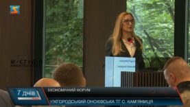 Економічний форум. Релокація бізнесу