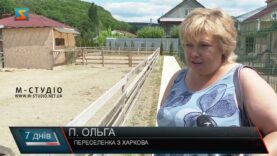 Евакуйовані віслюки. Прихисток для тварин з гарячих точок