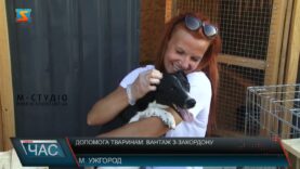 Допомога тваринам. Вантаж з-закордону