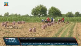 Польові роботи