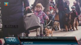 Виставка «Єдність заради майбутнього»