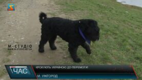 Крокують Україною до перемоги!