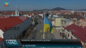 Мільйон, щоб спиляти дерева