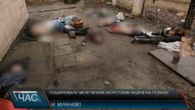 Поширювати чи ні? Вплив жорстоких кадрів на психіку