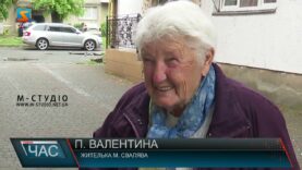 Каштани – родзинка міста