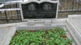 Дизайн без названия (3)