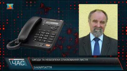 Шкода та небезпека спалювання листя