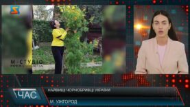 Найвищі чорнобривці