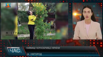Найвищі чорнобривці