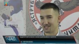 Відкритий кубок з кіокушинкайкан карате