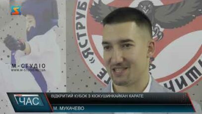 Відкритий кубок з кіокушинкайкан карате